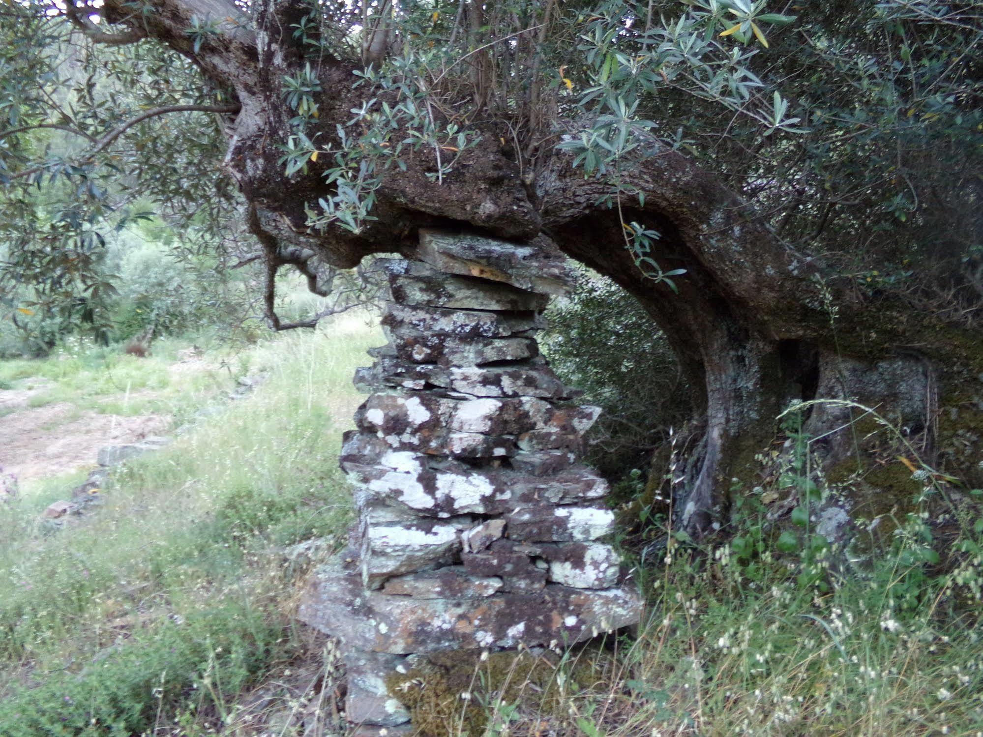 Casas Dos Carregais Villa Eksteriør billede