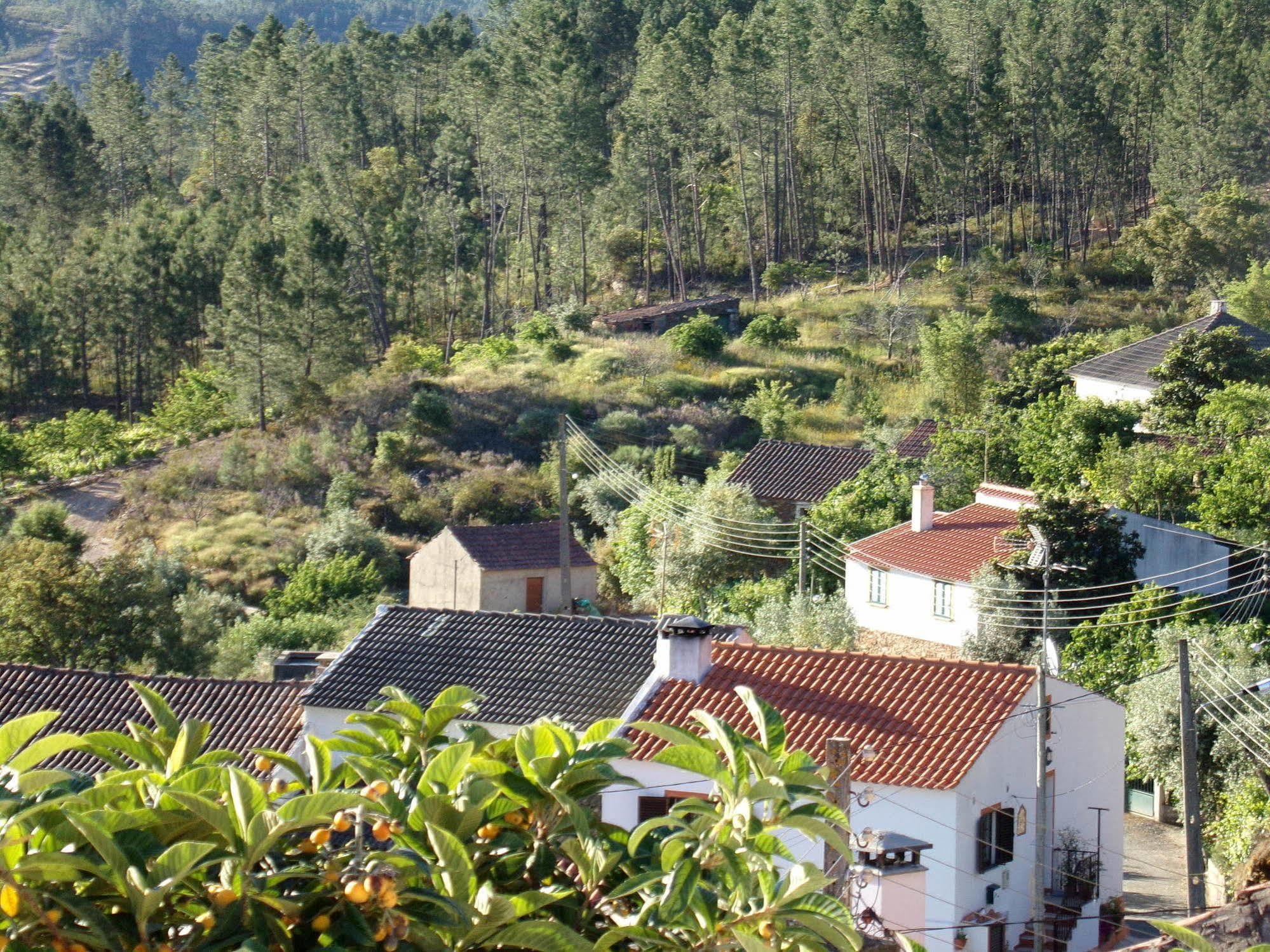 Casas Dos Carregais Villa Eksteriør billede
